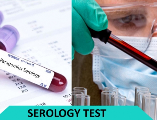 What Does Serology Positive mean?