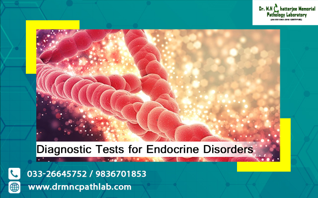 Diagnostic Tests for Endocrine Disorders