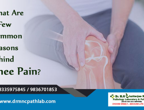 What Are A Few Common Reasons behind Knee Pain?