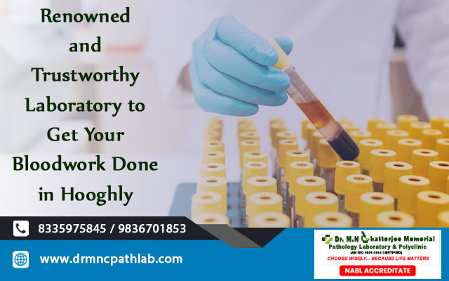 Renowned and Trustworthy Laboratory to Get Your Bloodwork Done in Hooghly
