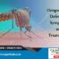 Dengue Fever- Definition, Symptoms and Treatments