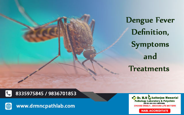 Dengue Fever- Definition, Symptoms and Treatments