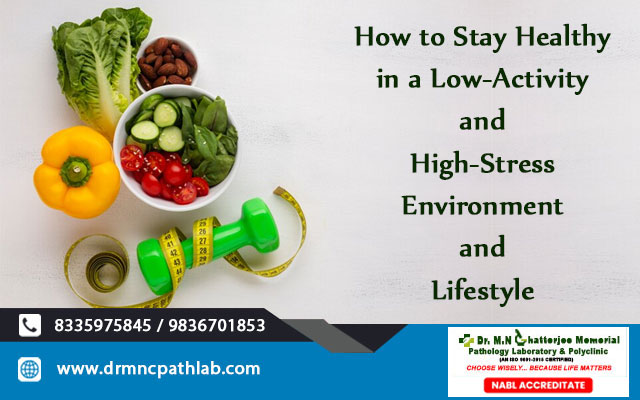 How to Stay Healthy in a Low-Activity and High-Stress Environment and Lifestyle